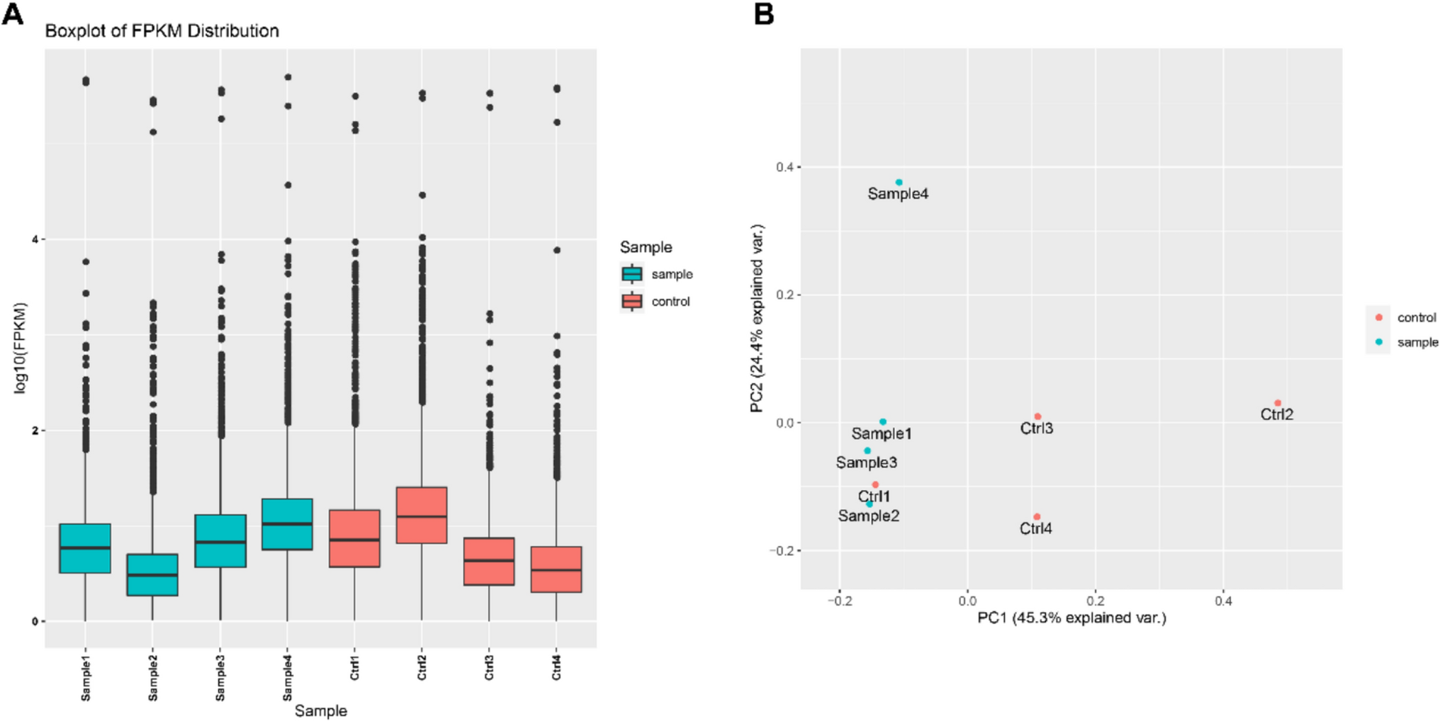 RNA sequencing reveals circular RNA expression patterns in chronic intermittent hypoxia