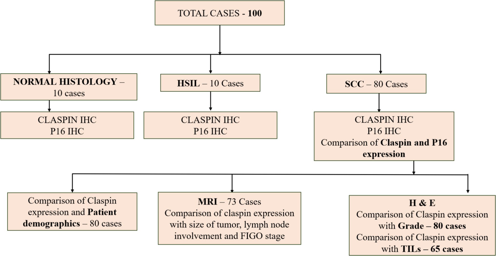 Expression of Claspin in Squamous Cell Carcinoma of Cervix and Its Association with p16 Expression and Clinicopathologic Parameters