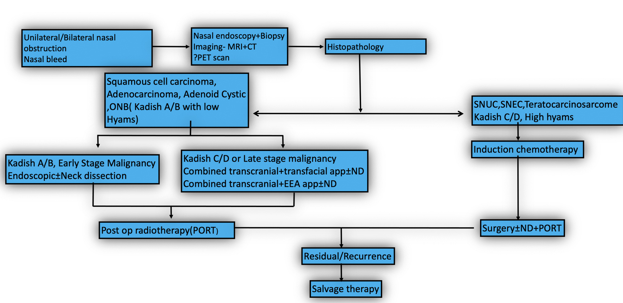 Expanded Endoscopic Endonasal Approach in the Management of Anterior Skull Base Malignancies: Experience from a Quaternary Care Center in India