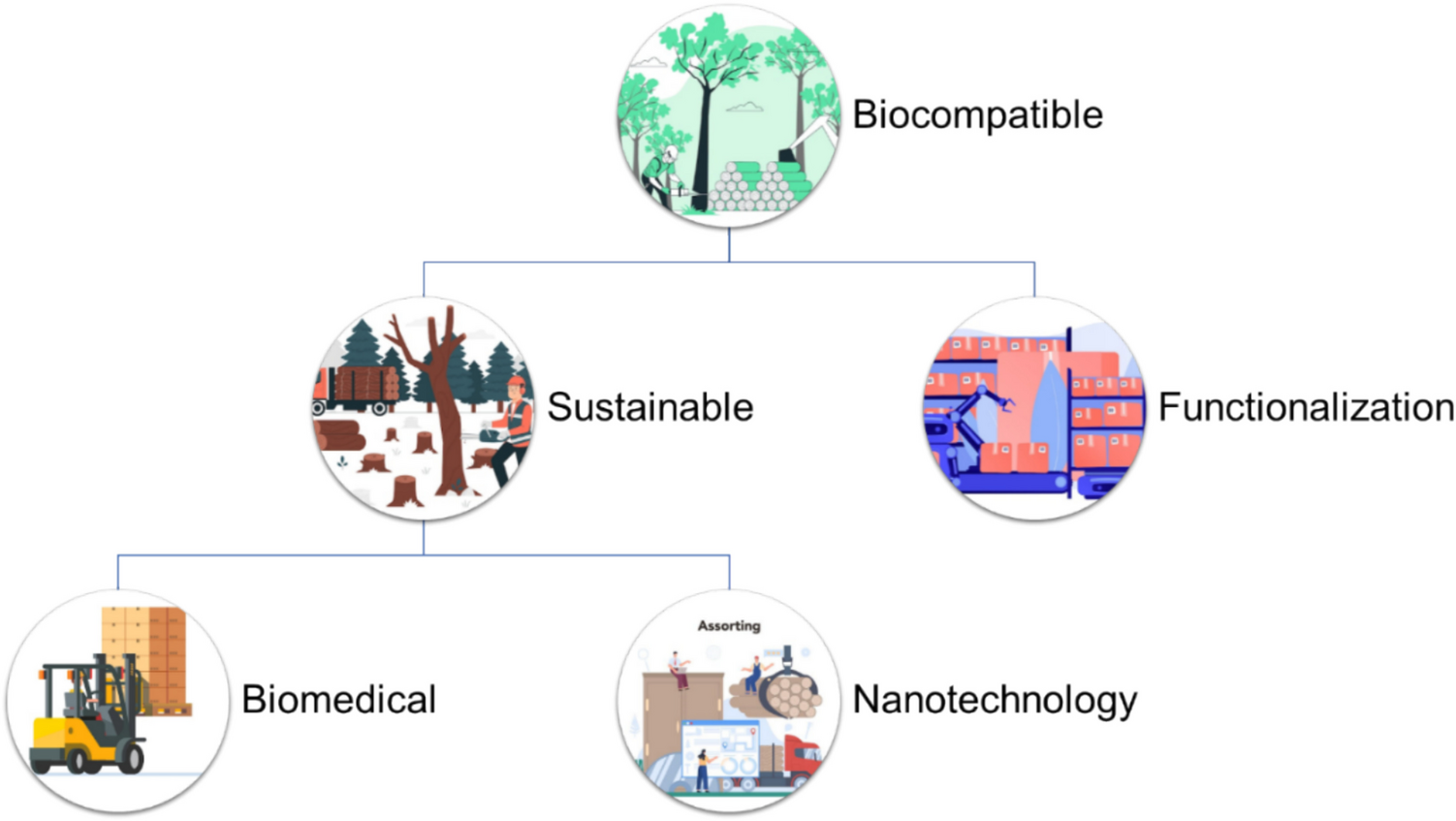 Multifaceted Exploration of Wood Biomass-Derived Nanomaterials for Biomedicine Approach