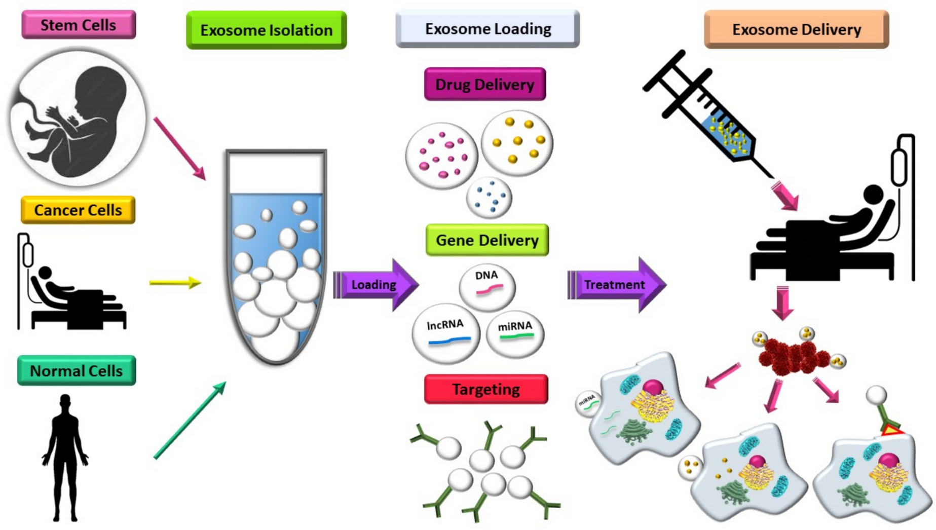 Exosomes from Cancer Cells: Innovative Approach for Targeted Cancer Treatment