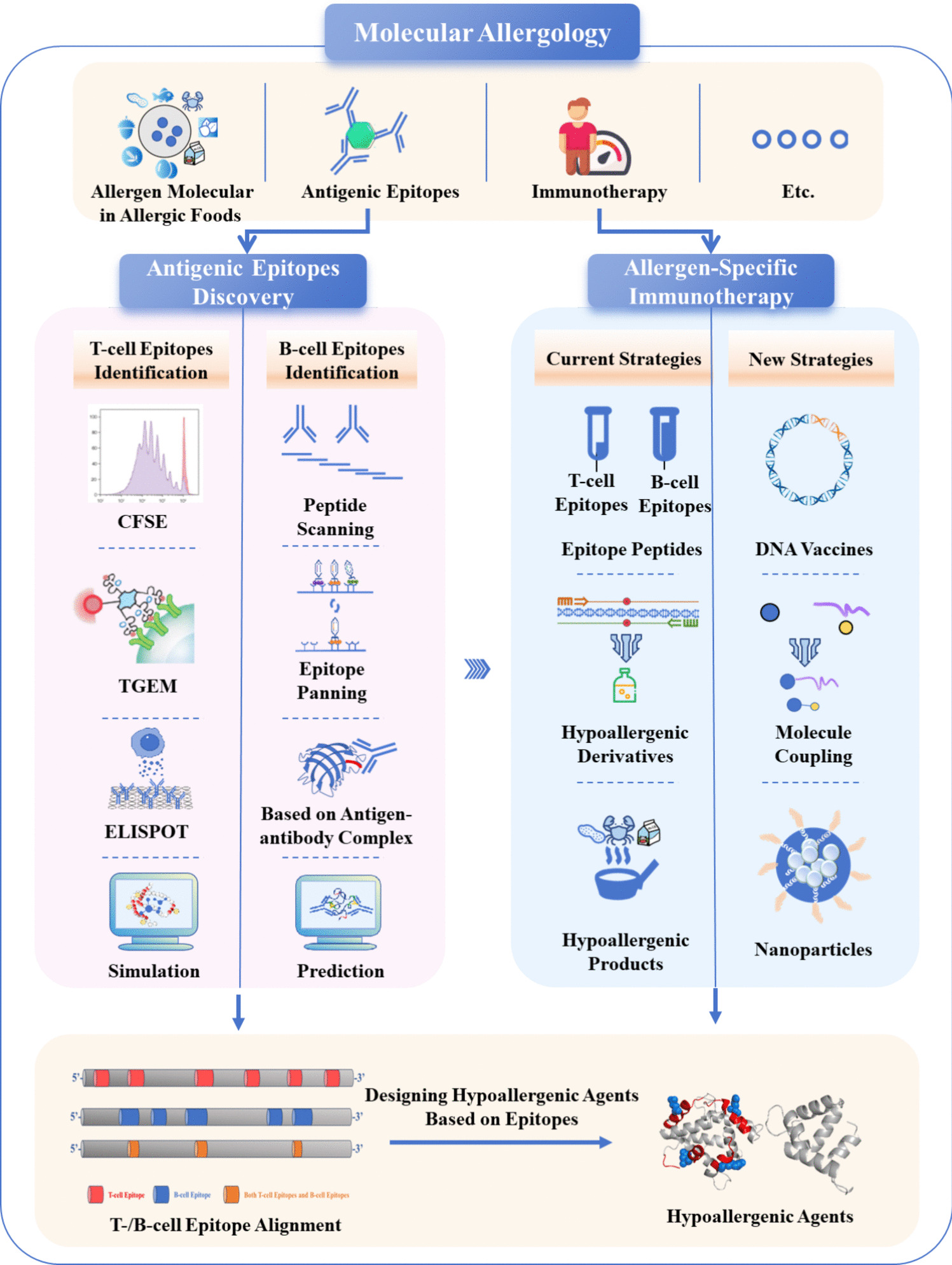 Molecular Allergology: Epitope Discovery and Its Application for Allergen-Specific Immunotherapy of Food Allergy