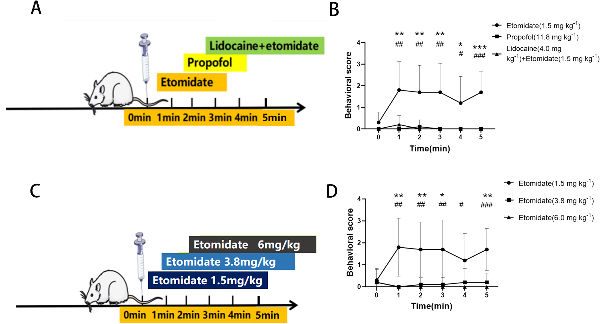 Etomidate-Induced myoclonus in Sprague‒Dawley rats involves the activation of neocortical Calpain-2 and its decrement on KCC2 protein