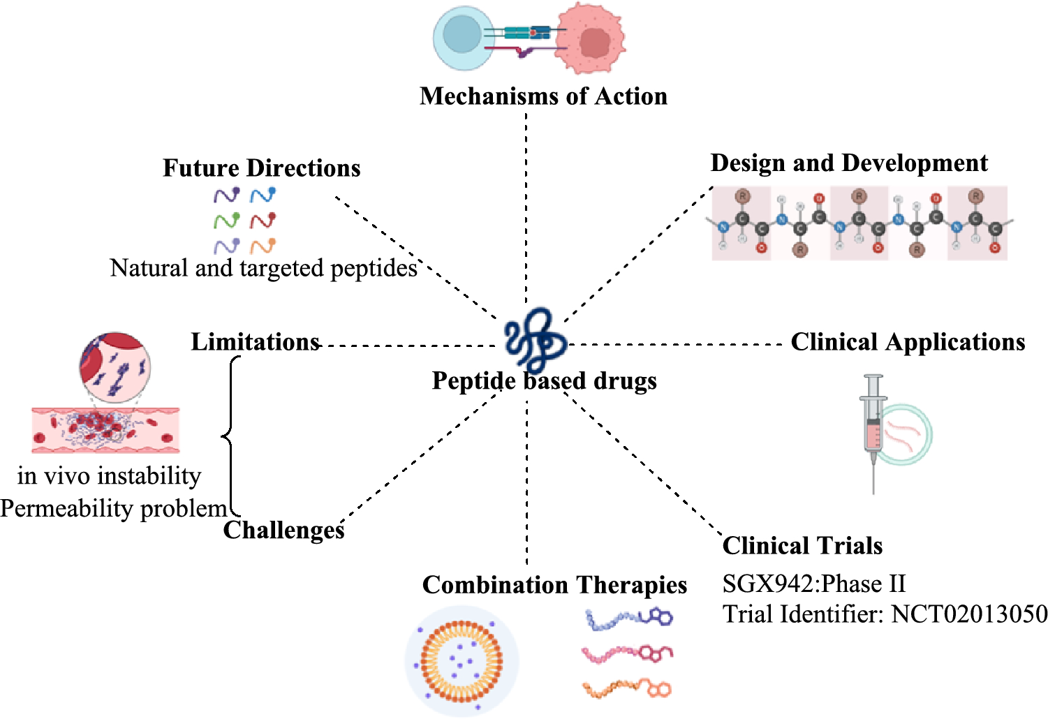 Peptide-based drugs in immunotherapy: current advances and future prospects