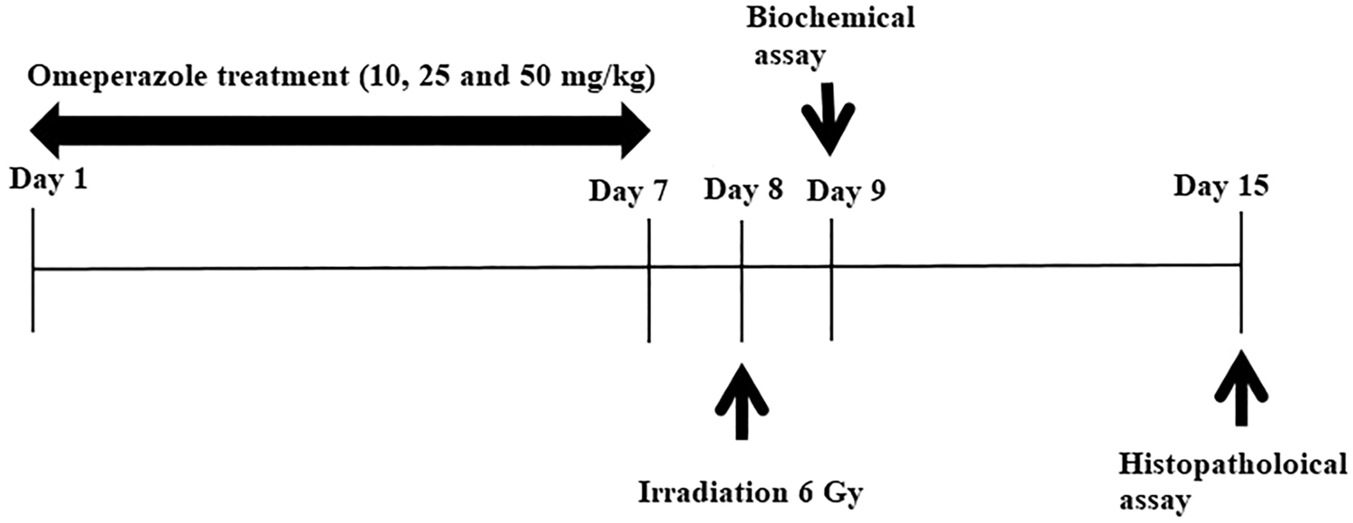 Omeprazole attenuates irradiation-induced lung injury through the suppression of apoptosis and oxidative stress in mice