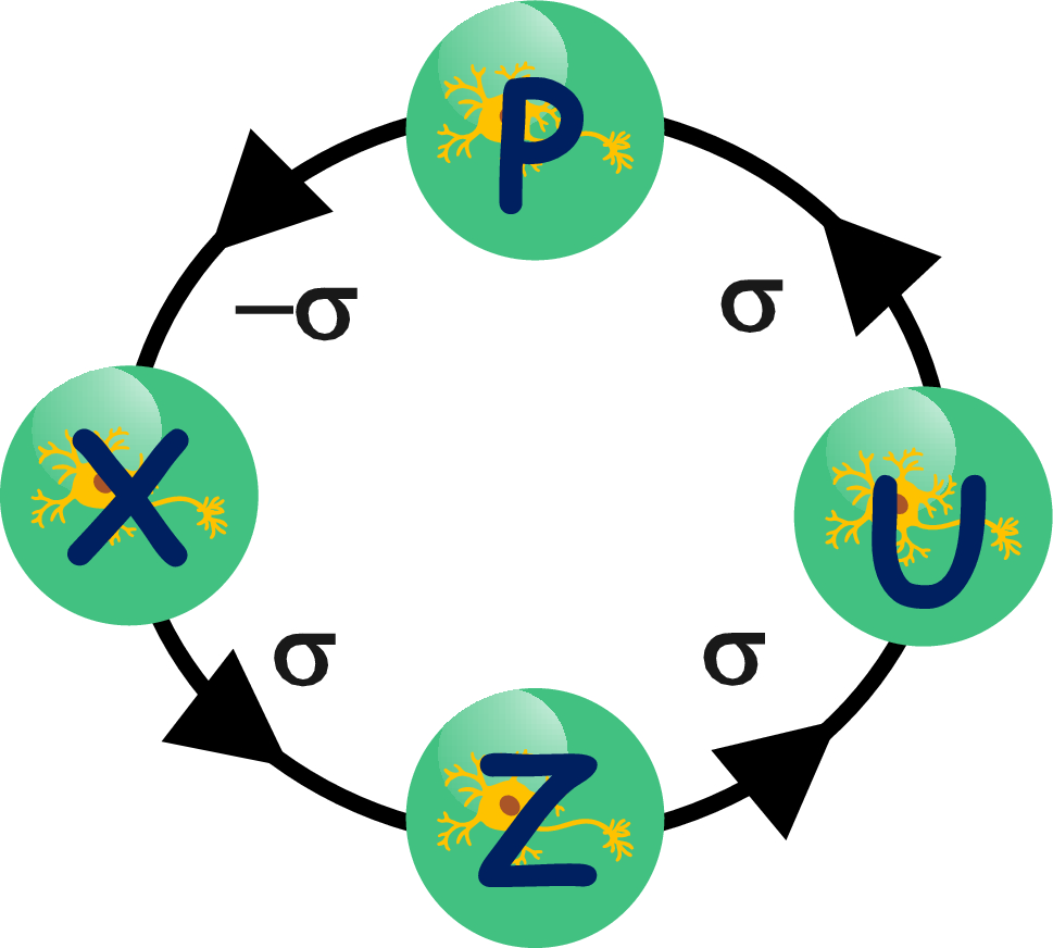 Dynamic analysis of multi-spiral chaotic inertia model with a cyclic configuration involving four homogeneous HNN cells: stability analysis, analog and digital verifications