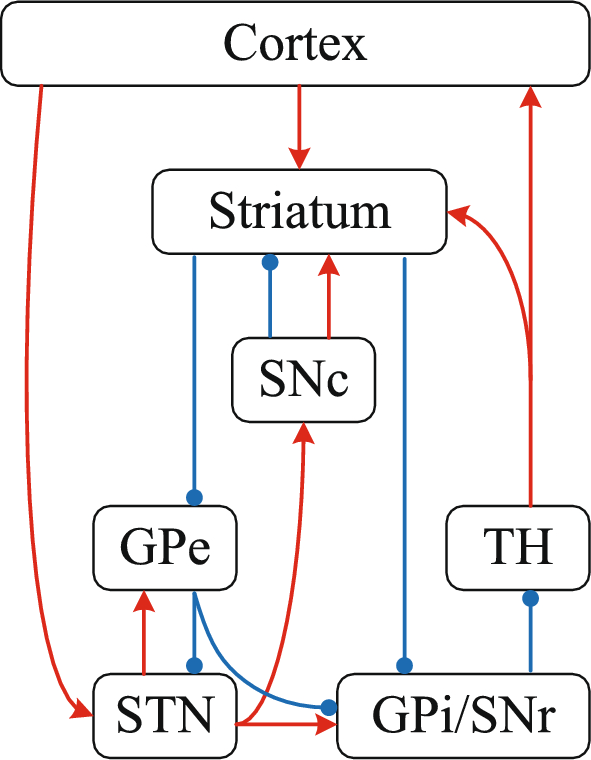 Computational framework of neuronal-astrocytic network within the basal ganglia-thalamic circuits associated with Parkinson’s disease