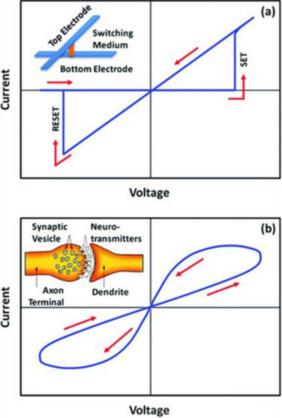 A novel predefined-time projective synchronization strategy for multi-modal memristive neural networks