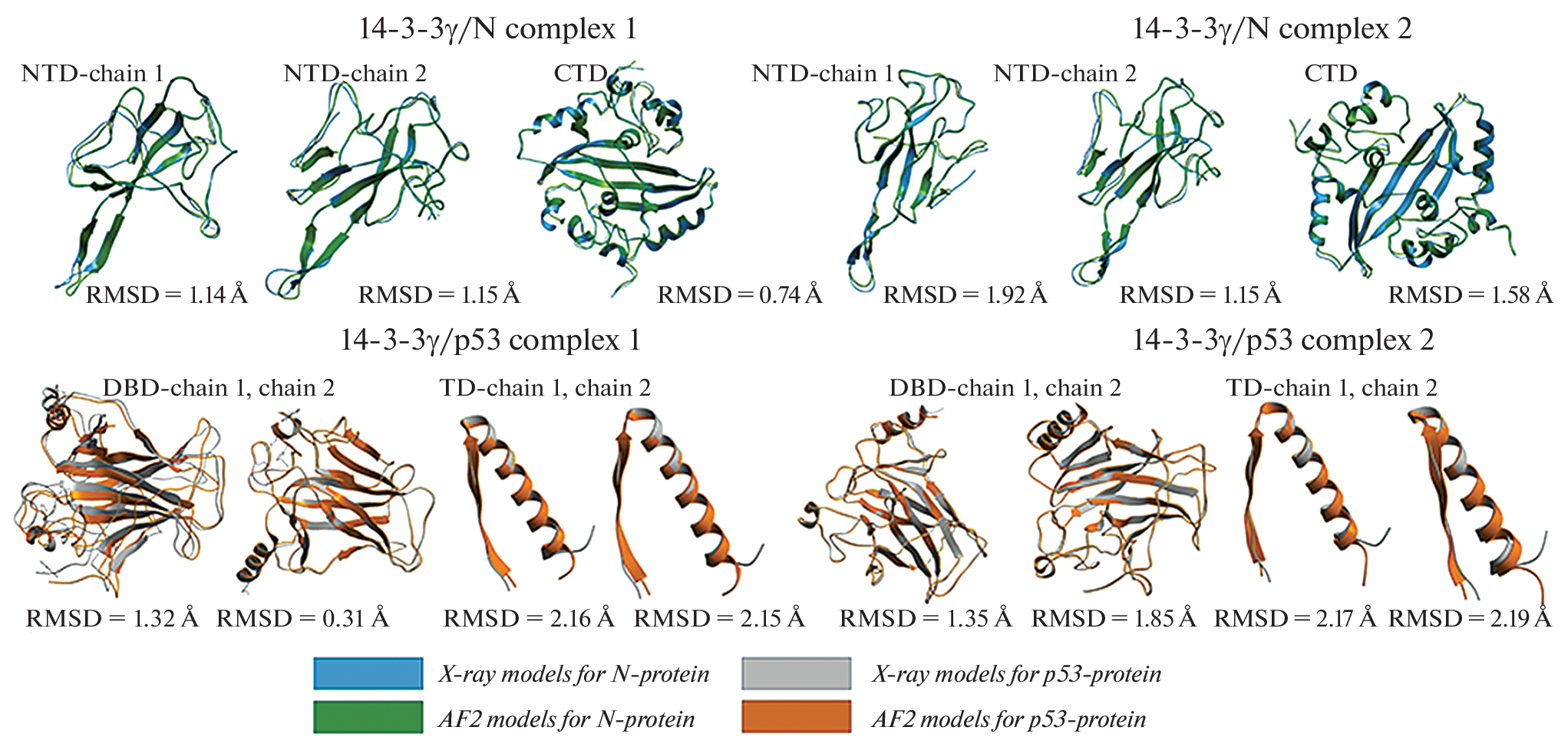 πDMD Simulation as a Strategy for Refinement of AlphaFold2 Modeled Fuzzy Protein Complexes Structures