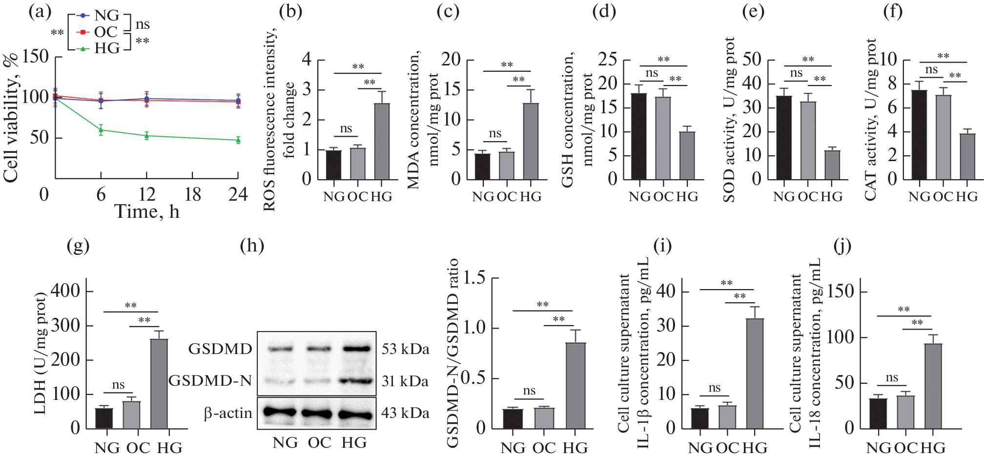 Mechanism of Oxidative Stress Inducing Pyroptosis by Activating the NLRP3/Caspase-1/GSDMD Pathway in Lens Epithelial Cells under High Glucose Environment