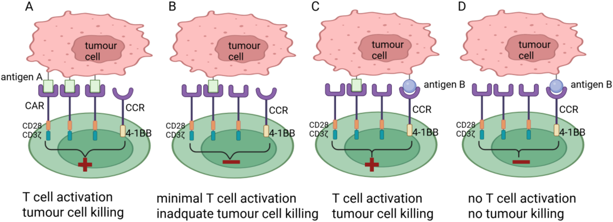 Strategies to overcome tumour relapse caused by antigen escape after CAR T therapy