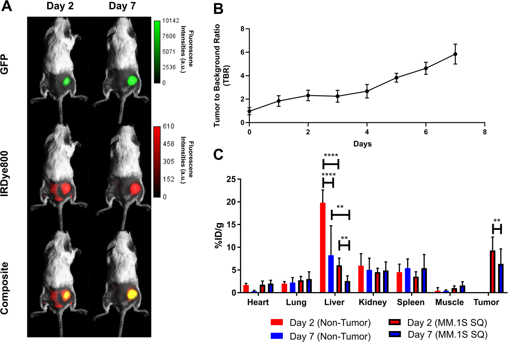 Correction: Preclinical Development of Near-Infrared-Labeled CD38-Targeted Daratumumab for Optical Imaging of CD38 in Multiple Myeloma