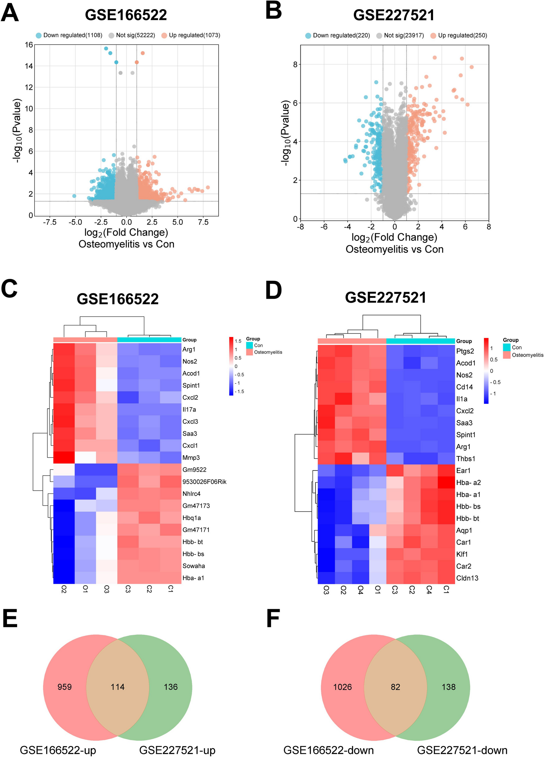 PTGS2 Silencing Inhibits Ferroptosis in -induced Osteomyelitis By Blocking the IL-17A Signaling Pathway