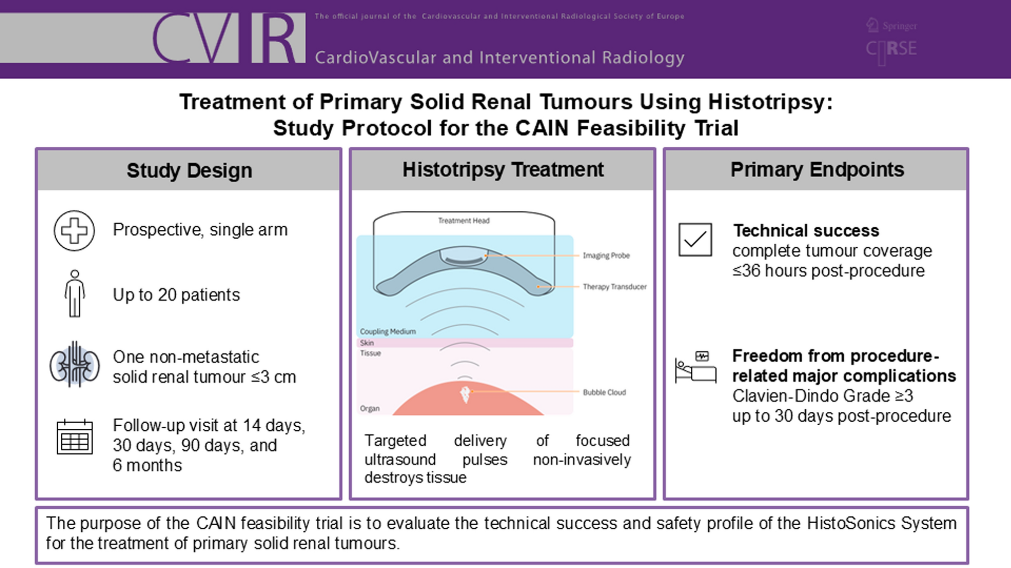 Treatment of Primary Solid Renal Tumours Using Histotripsy: Study Protocol for the CAIN Feasibility Trial