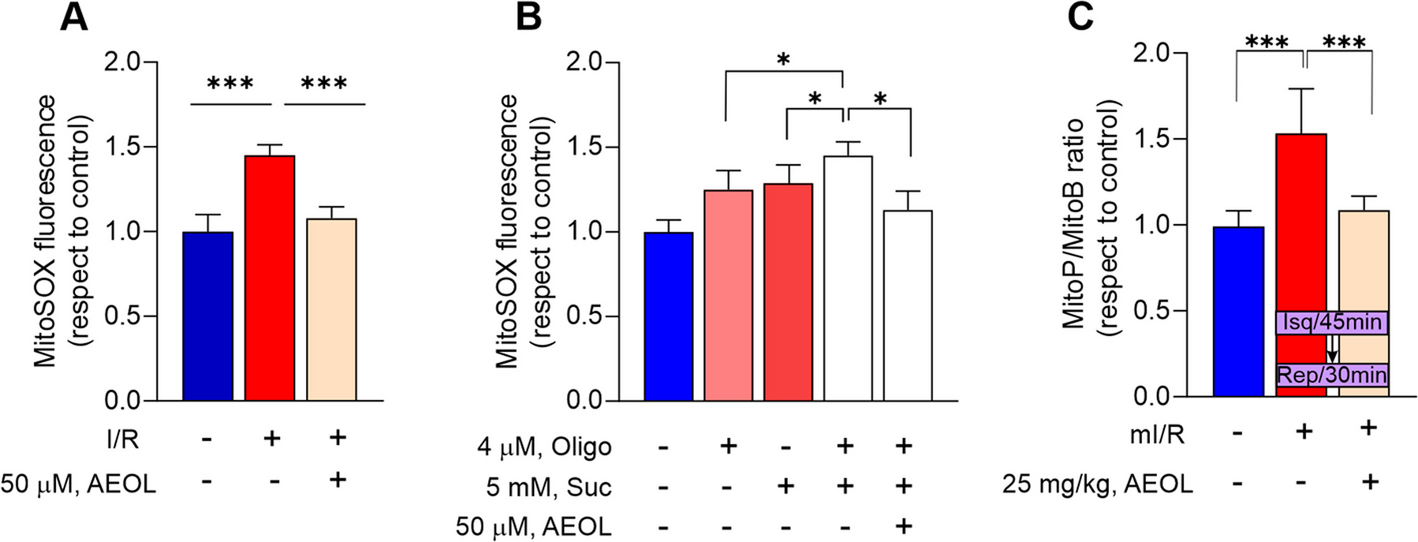 AEOL-induced NRF2 activation and DWORF overexpression mitigate myocardial I/R injury