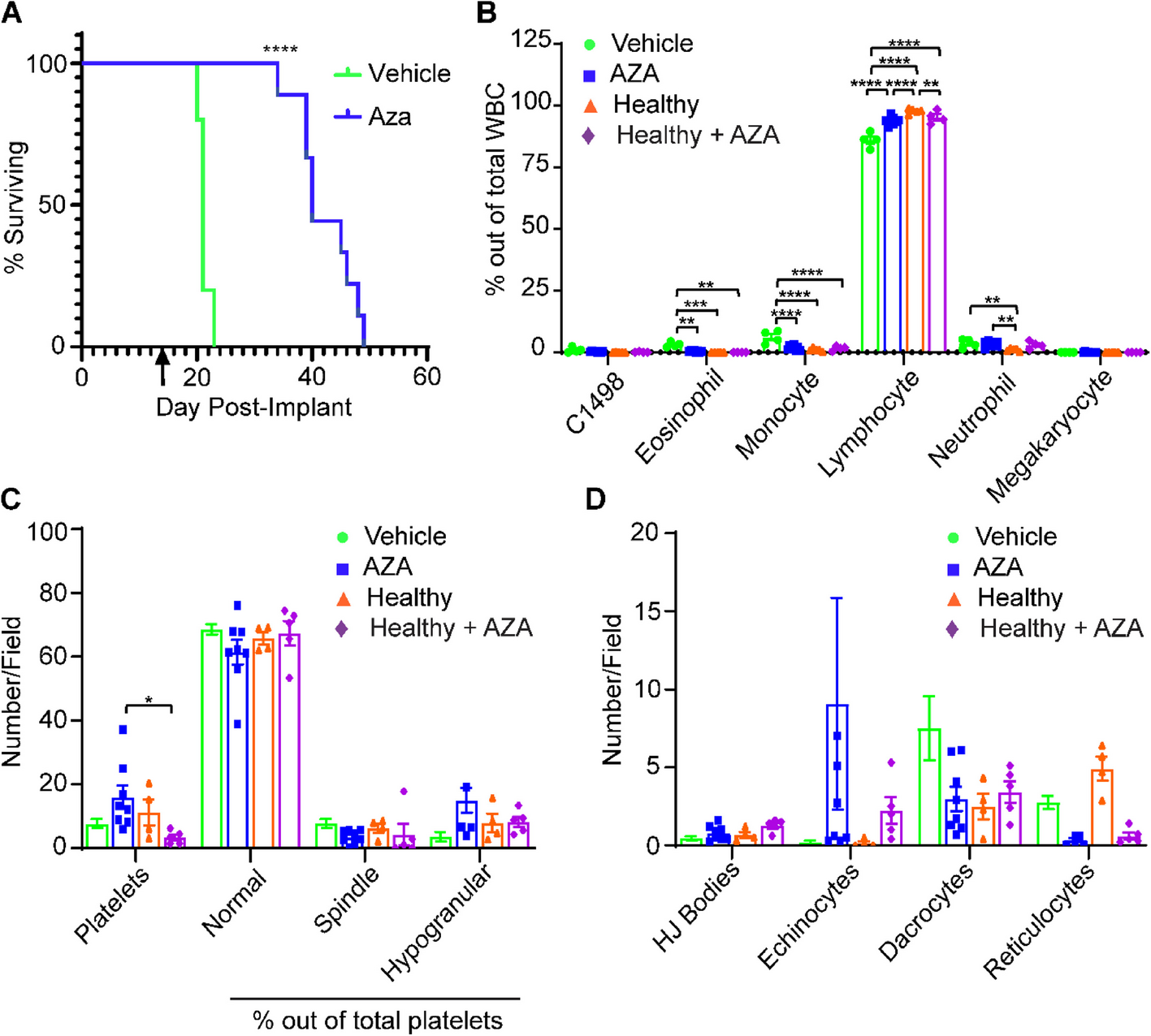 Transcriptomic analysis of non-leukemic cell subsets in azacytidine-responsive AML highlights pathways associated with adhesion, platelet aggregation, and angiogenesis in mice and humans