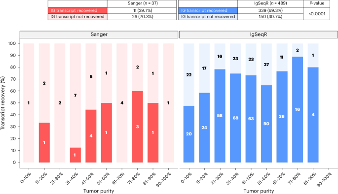 Identification, assembly and characterization of tumor immunoglobulin transcripts from RNA sequencing data using IgSeqR
