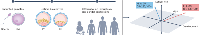 Gender and sex interactions are intrinsic components of cancer phenotypes