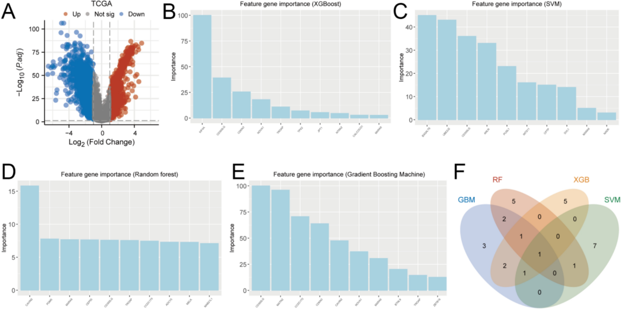 Machine learning and single-cell analysis uncover distinctive characteristics of CD300LG within the TNBC immune microenvironment: experimental validation