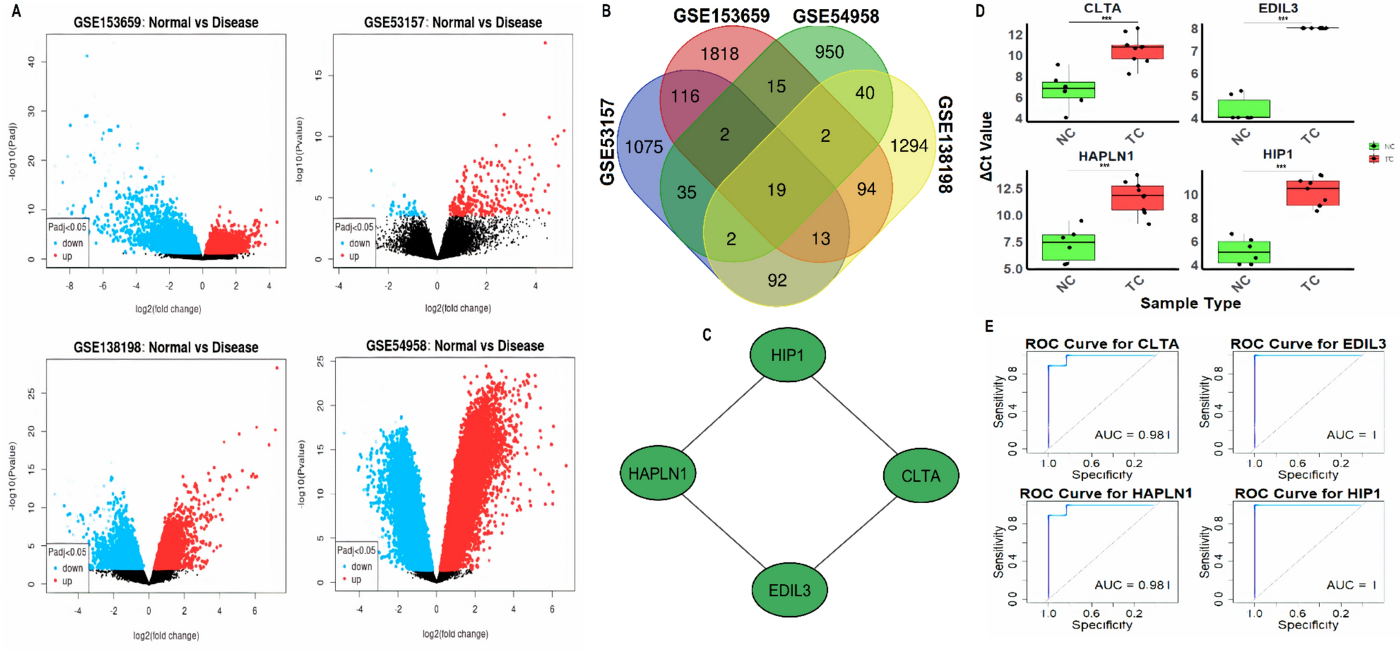 Identification and functional characterization of hub genes CLTA, EDIL3, HAPLN1, and HIP1 as diagnostic biomarkers and therapeutic targets in thyroid cancer and Hashimoto’s thyroiditis