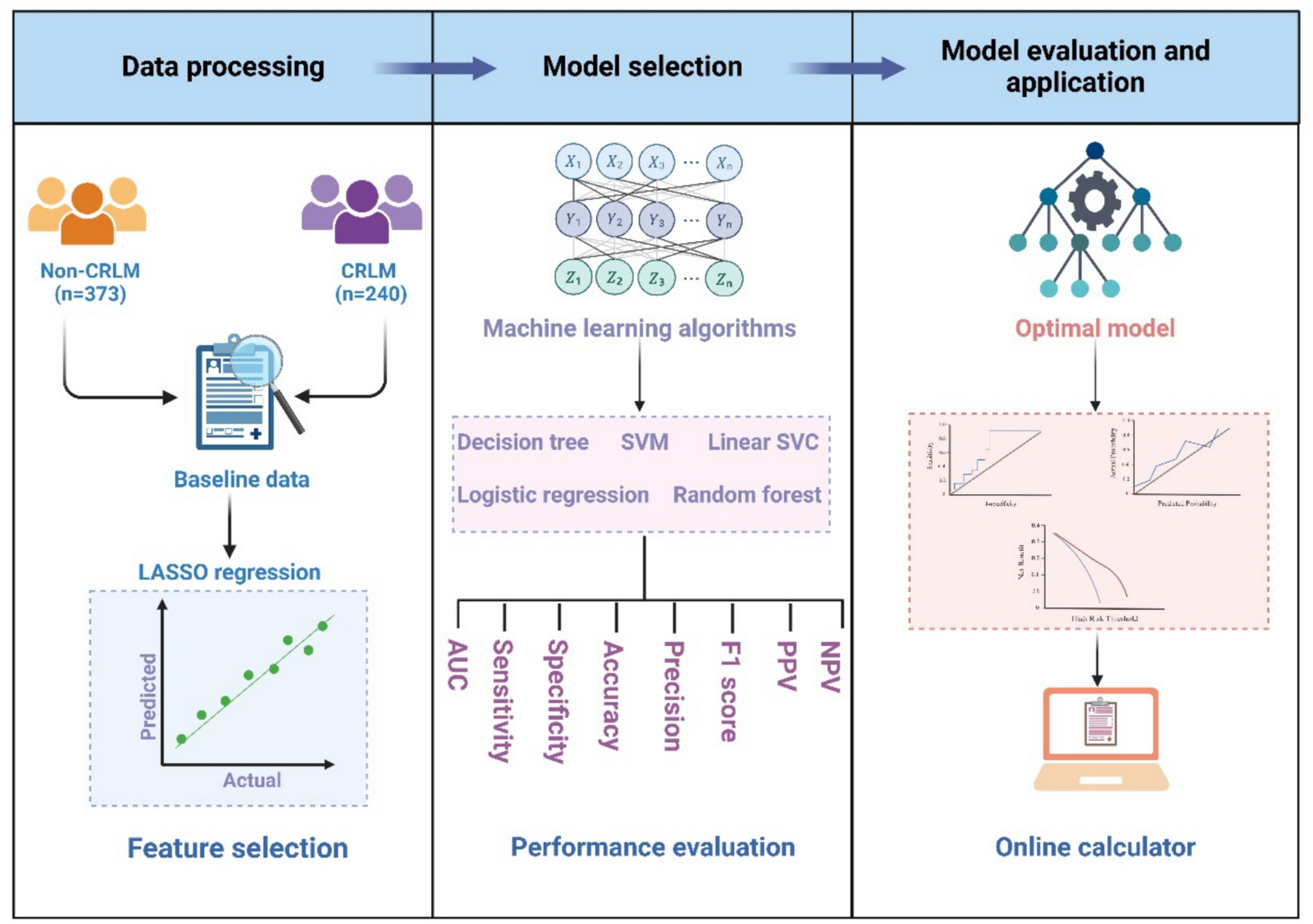 A machine learning-based prediction model for colorectal liver metastasis