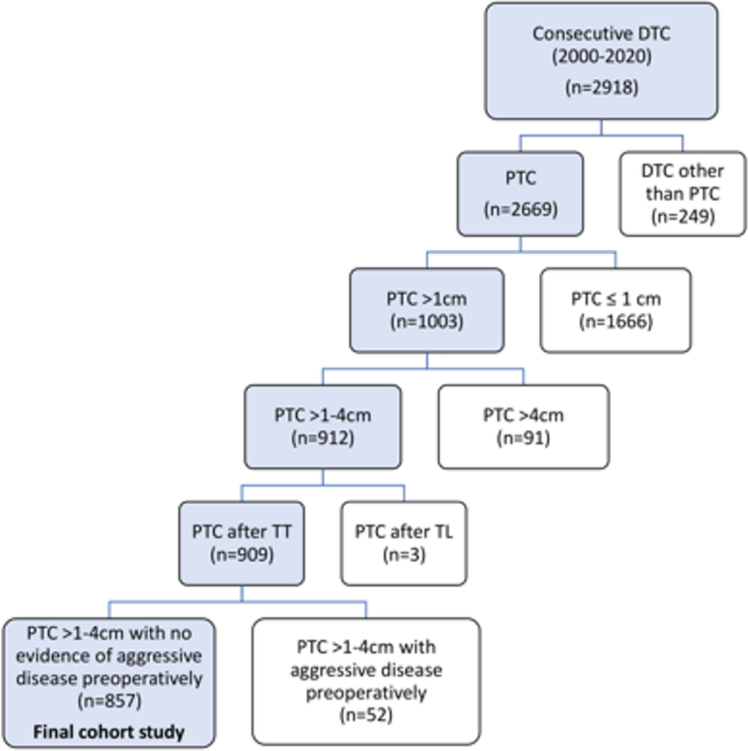 Risk characteristics of papillary thyroid cancer > 1–4 cm is associated with increased tumour size