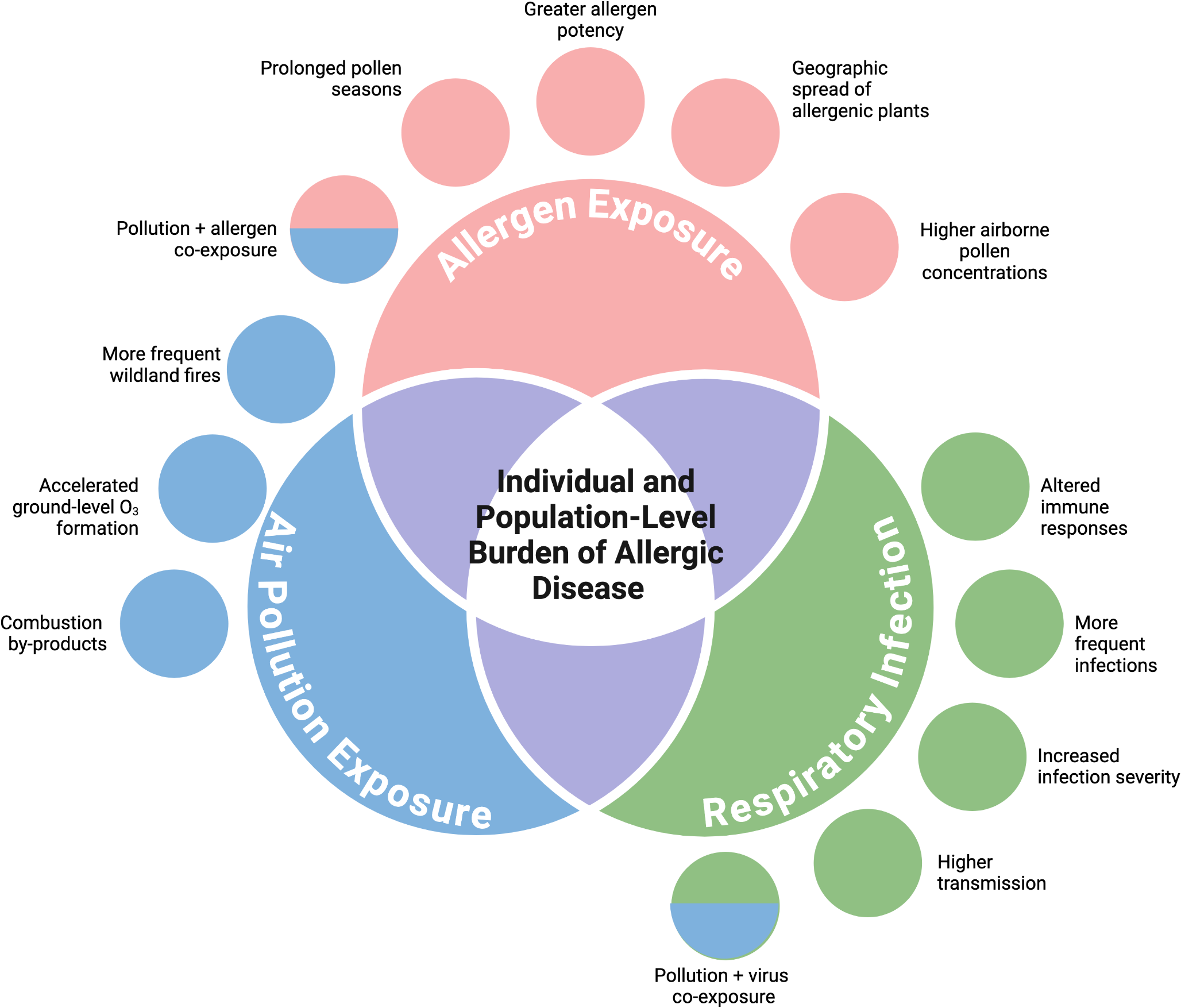 Climate Change and the Future of Allergies and Asthma