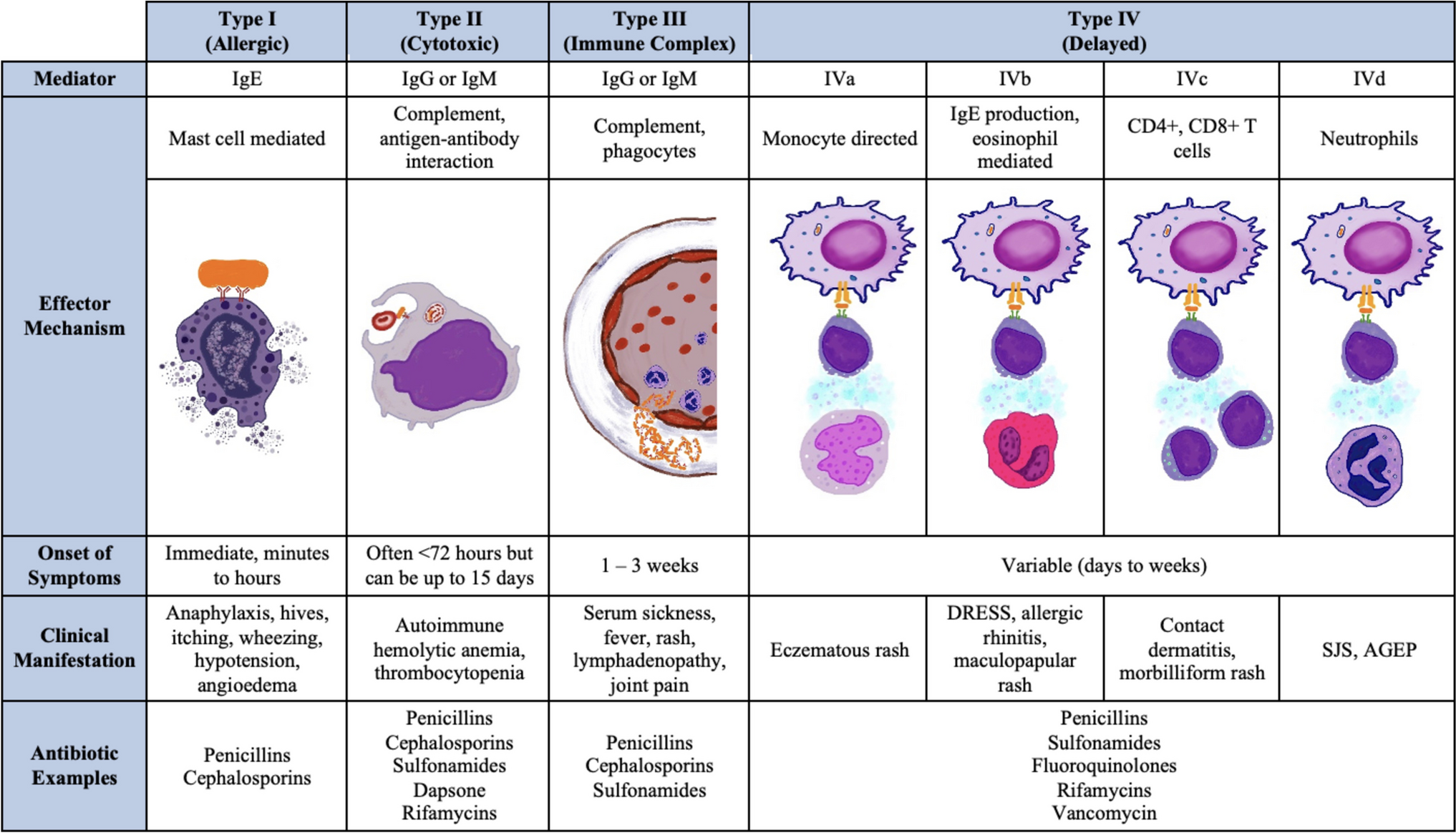 Hypersensitivity Reactions to Anticonvulsants