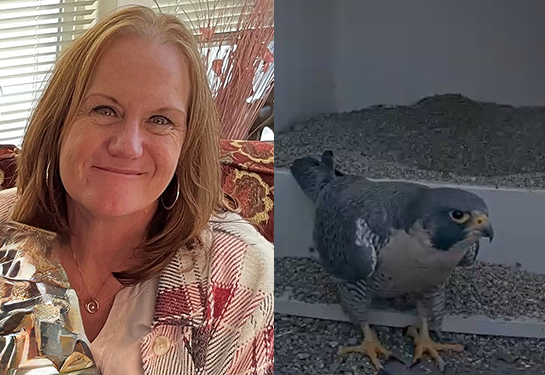 ‘These falcons are important to me:’ One patient’s story