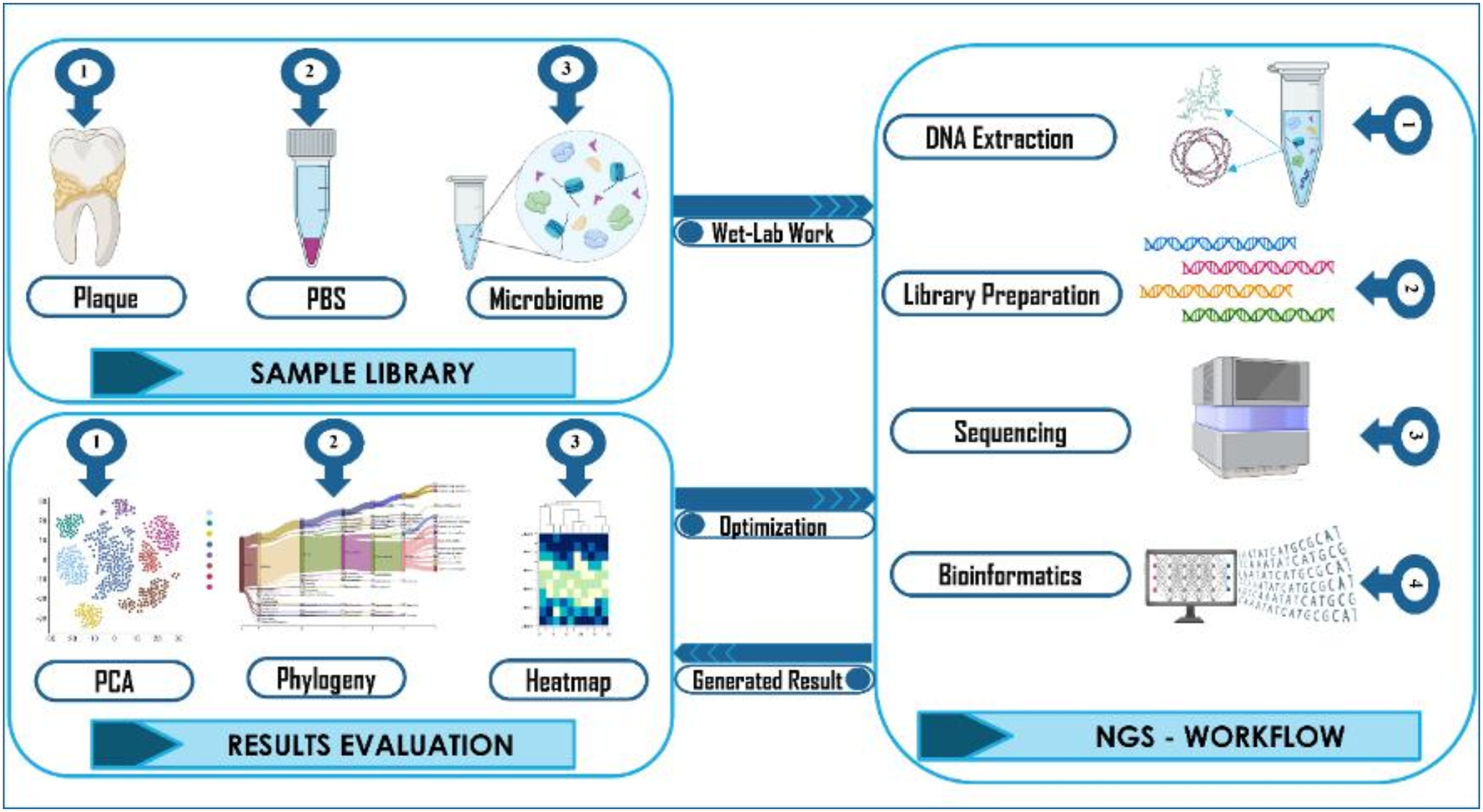Metagenomic profiling of plaque microbiota in Indian subjects: identified hidden ecological tapestry