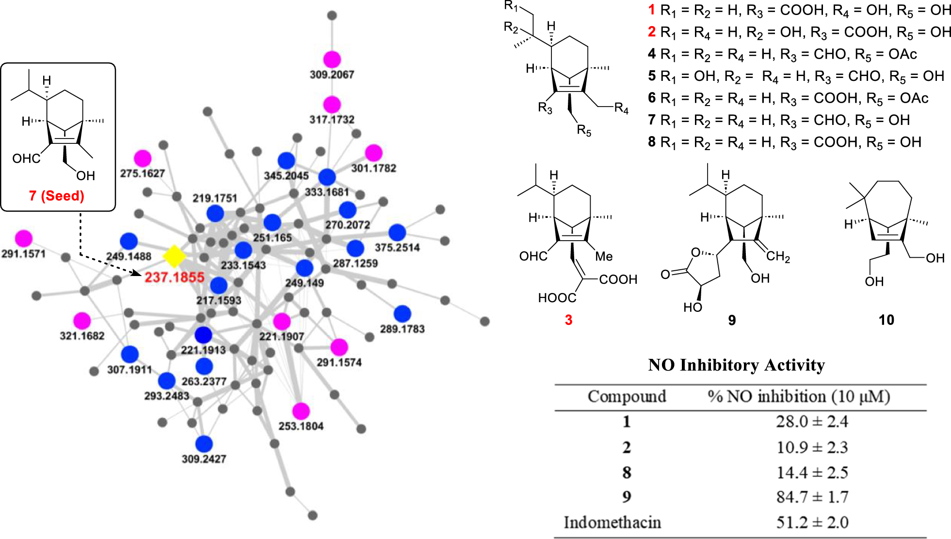 New sesquiterpenoids with anti-inflammatory effects from phytopathogenic fungus  11134