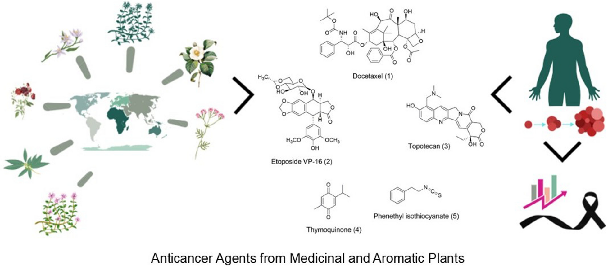 Natural anticancer agents: prospection of medicinal and aromatic plants in modern chemoprevention and chemotherapy