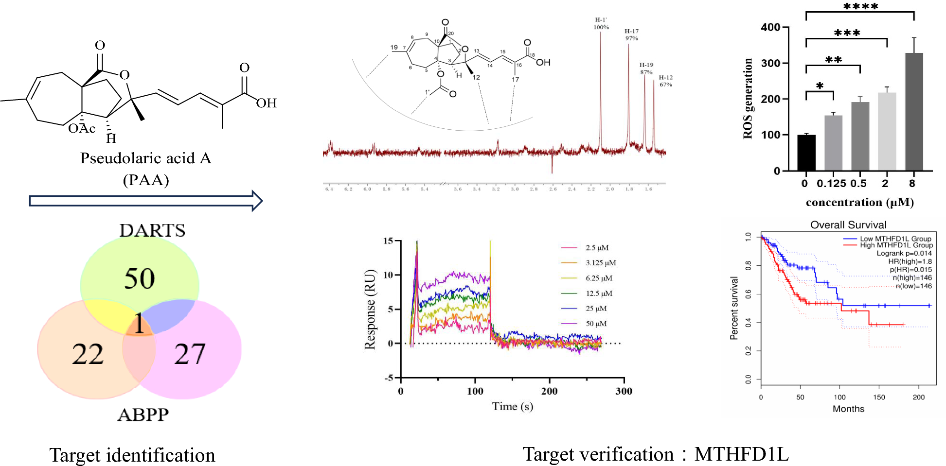 Identification and verification of methylenetetrahydrofolate dehydrogenase 1-like protein as the binding target of natural product pseudolaric acid A