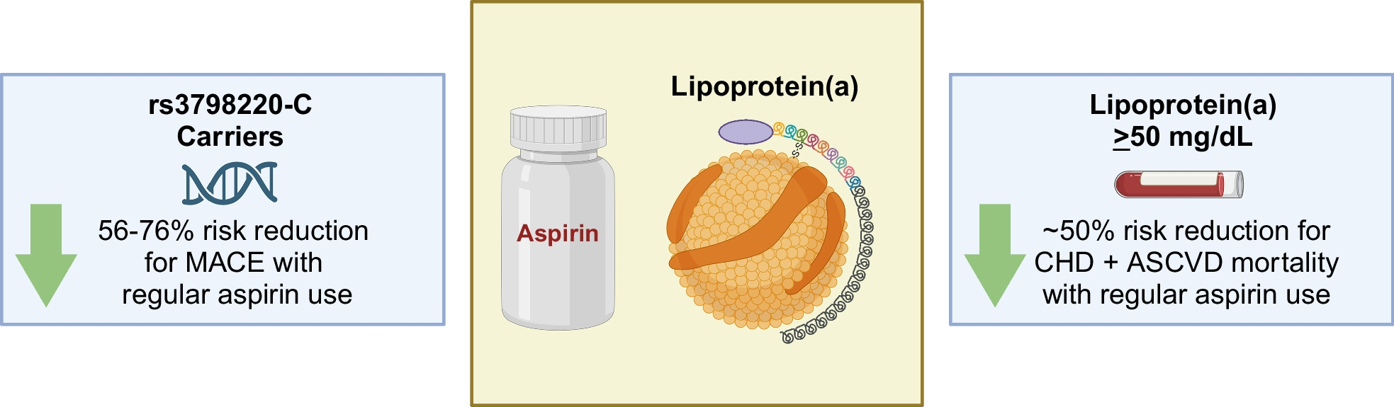 Role of Aspirin in Reducing Risk for Atherosclerotic Cardiovascular Disease in Individuals with Elevated Lipoprotein(a)