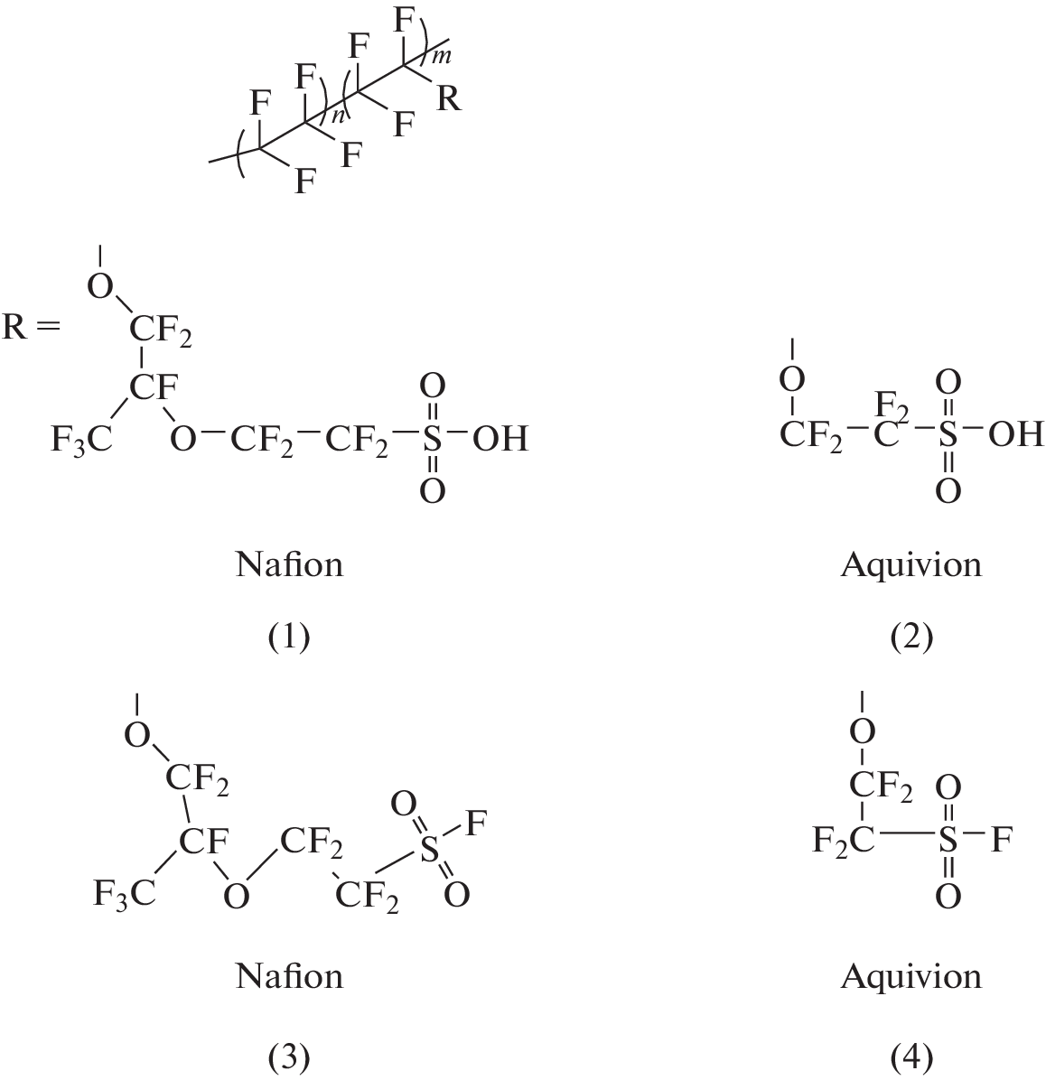 Molecular Mobility of Perfluorinated Nafion and Aquvion Type Copolymers in the Sulfonyl Fluoride and Sulfonic Acid Forms Depending on the Number of Functionalized Substituents in the Polytetrafluoroethylene Main Chain