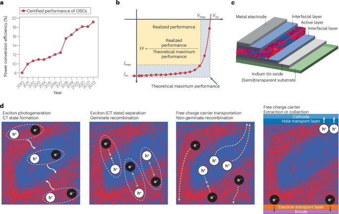 Decoding the halogenation cost-performance paradox in organic solar cells