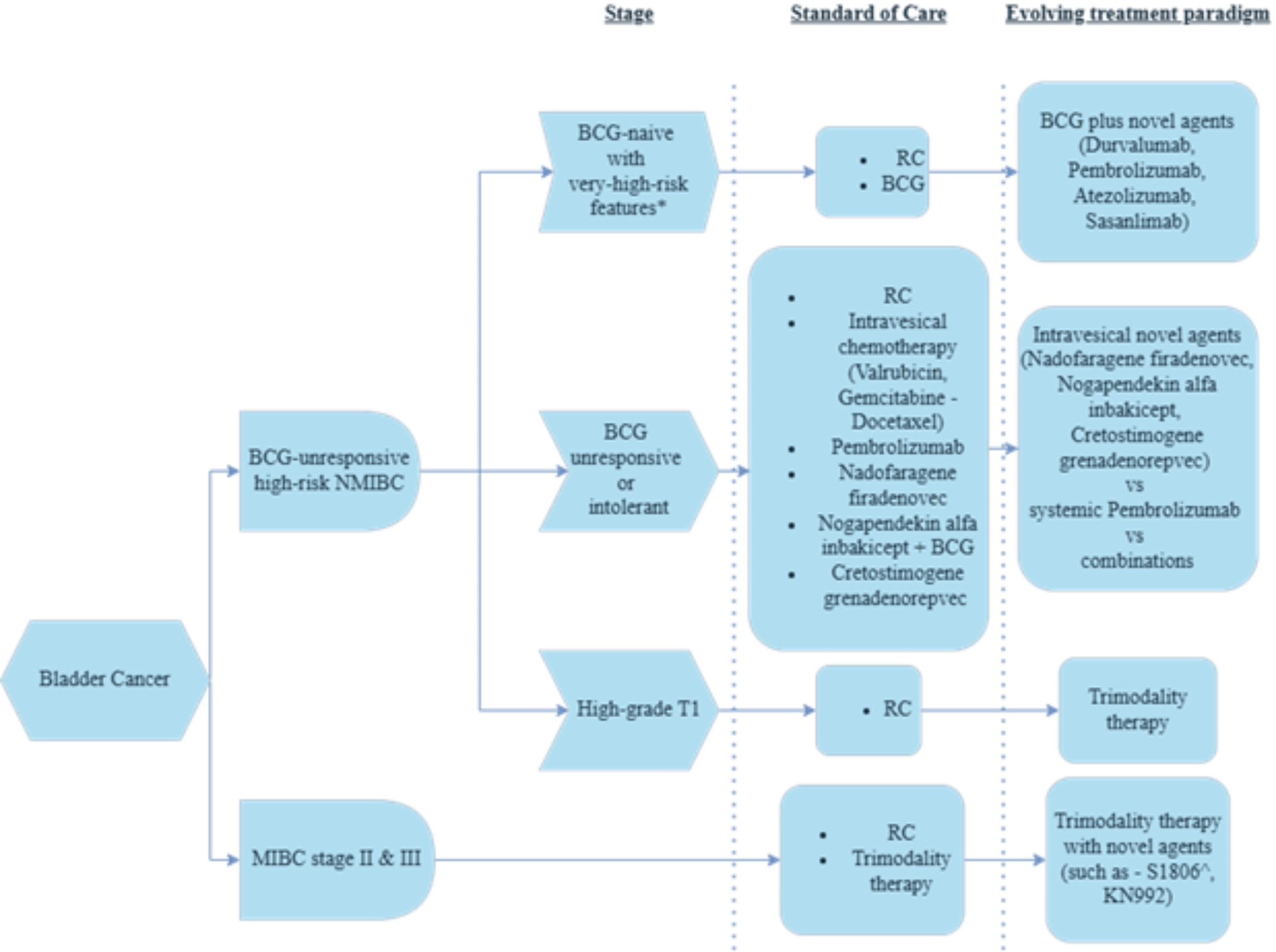 Current State of Bladder Preservation in High Grade Non-Muscle Invasive Bladder Cancer and Localized Muscle Invasive Bladder Cancer