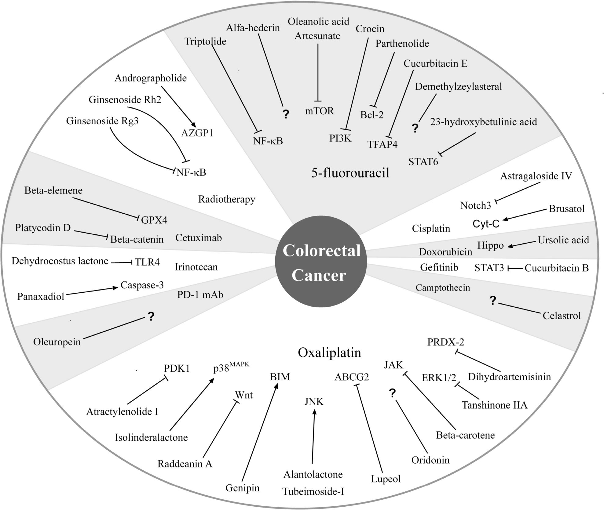 Plant Terpenoids in Combination with Conventional Therapeutics in Colorectal Cancer: A Promising Option