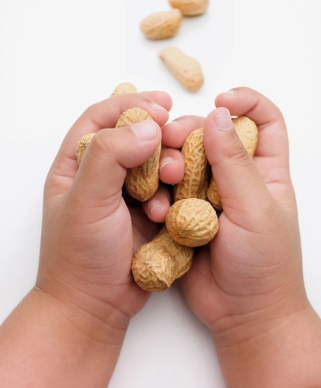 OIT bei Erdnussallergie: Erweiterung der Indikation für die Behandlung von Kleinkindern