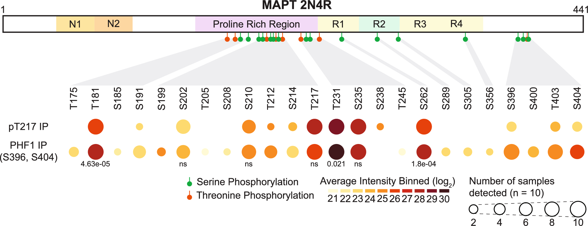 The interactome of tau phosphorylated at T217 in Alzheimer’s disease human brain tissue