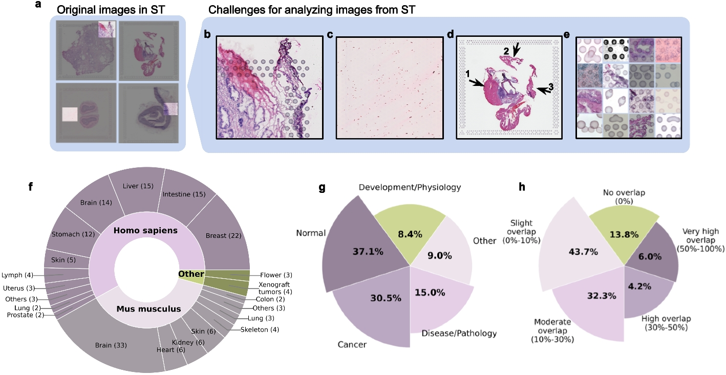 Vispro improves imaging analysis for Visium spatial transcriptomics