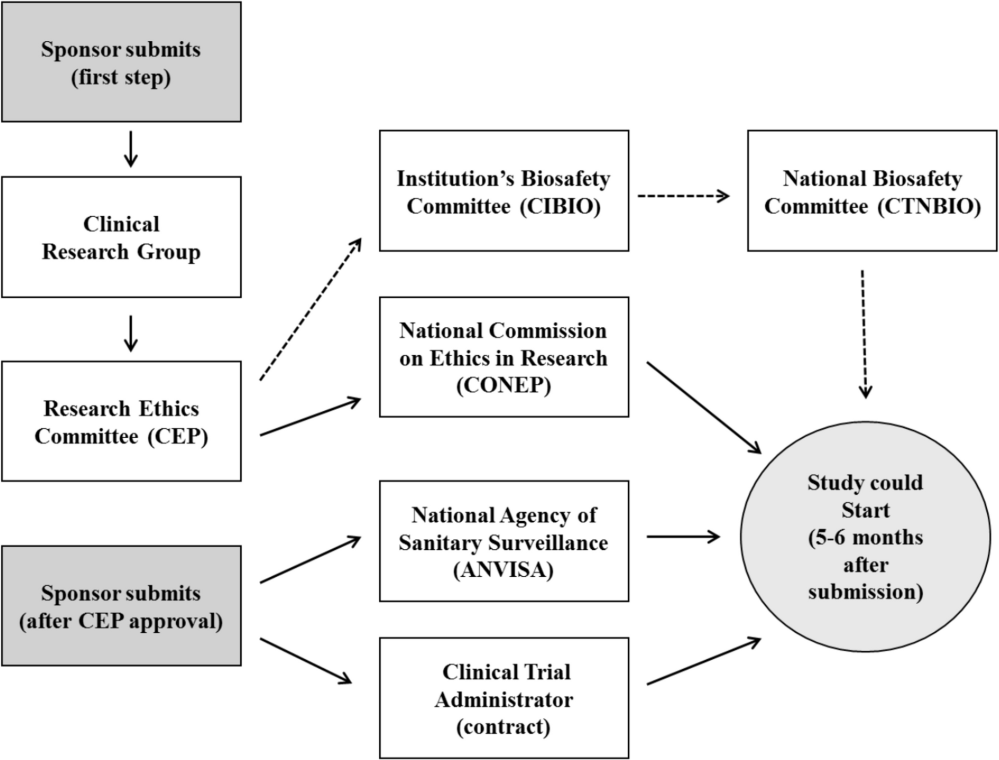 Clinical research in rare diseases in Brazil: challenges and opportunities