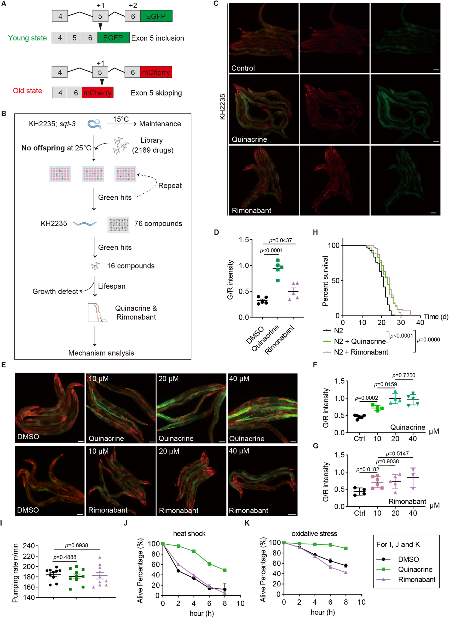Quinacrine and rimonabant prolong the life span of