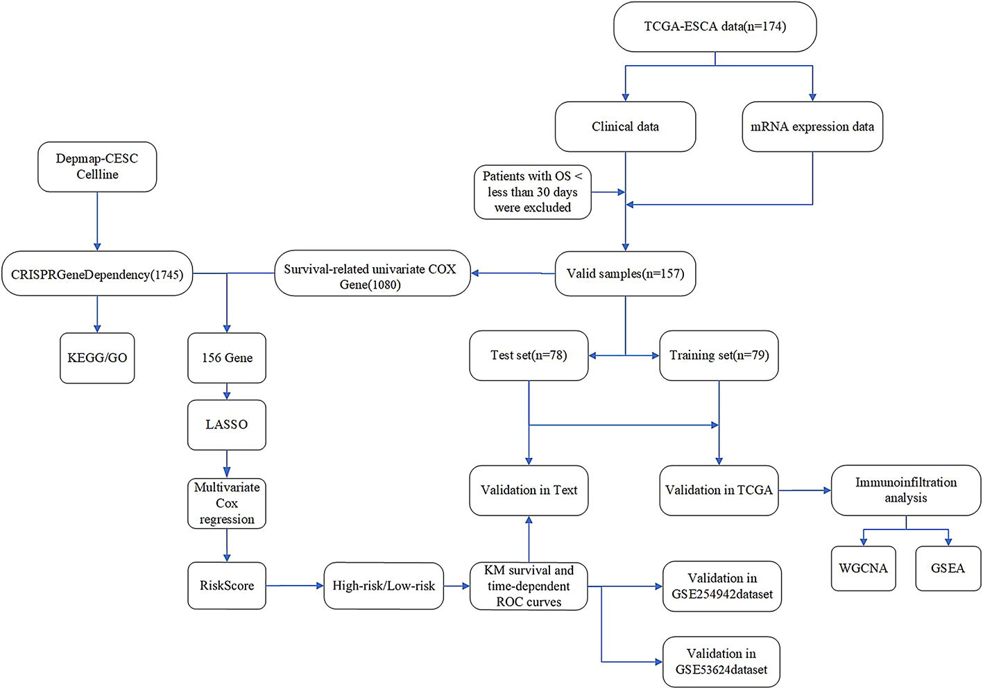 Identification and characterization of survival-dependent genes in esophageal cancer via the DepMap database: unraveling their association with immune infiltration