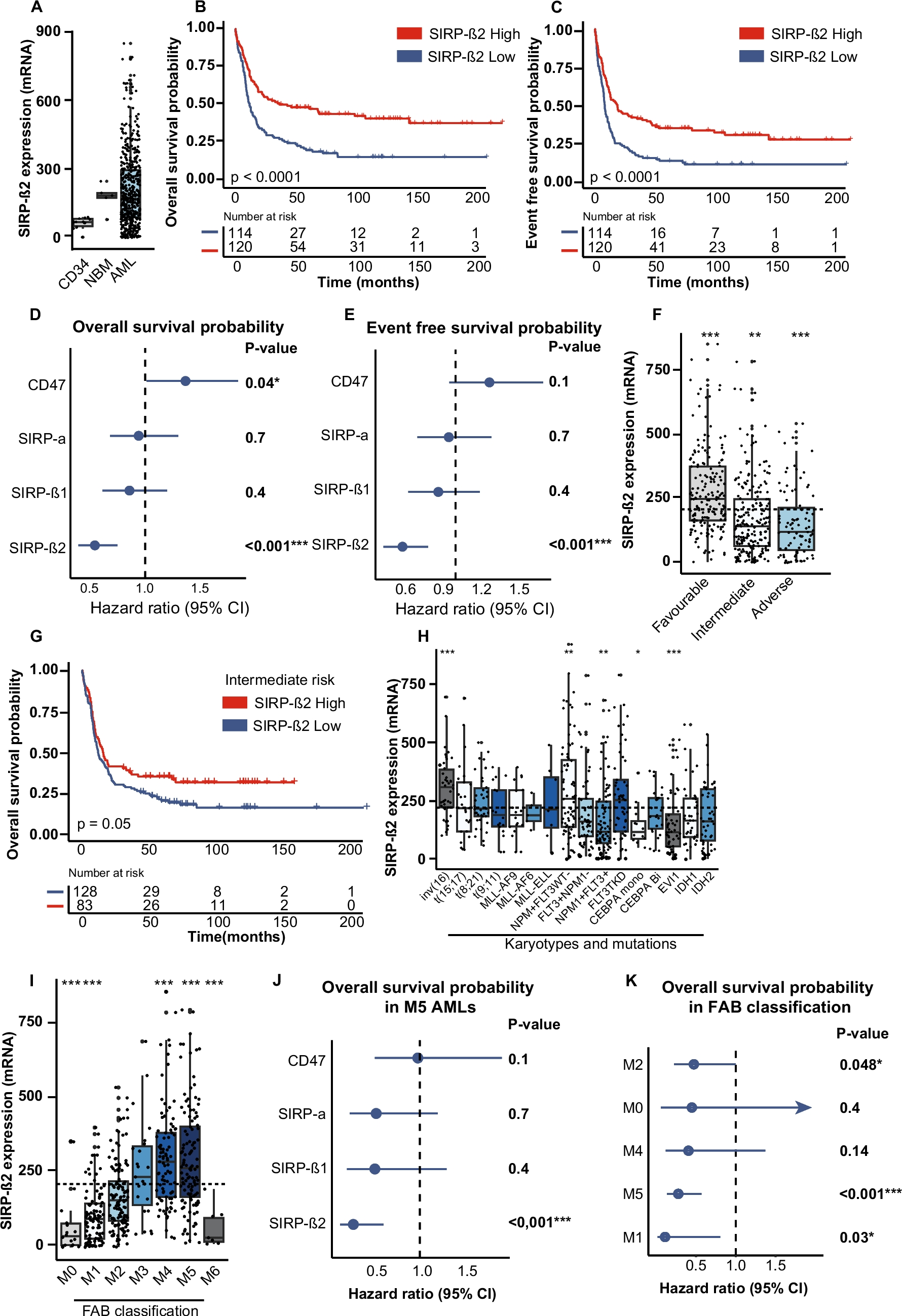 High expression of signal regulatory protein beta 2 marks a favourable prognostic AML subgroup and associates with increased sensitivity to phagocytosis