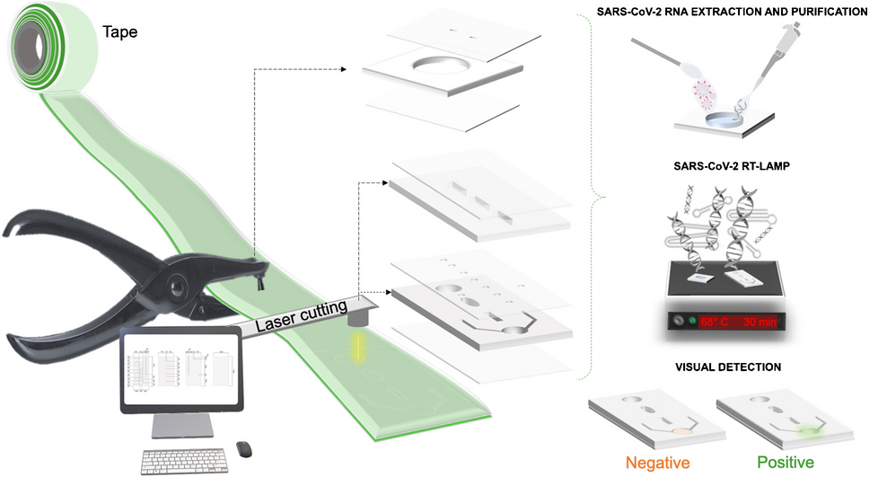 Stick-and-test: simple tape-based devices for SARS-CoV-2 isothermal molecular detection
