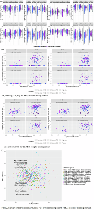 Prior human endemic coronavirus exposure does not affect humoral responses to SARS-CoV-2 protein vaccines
