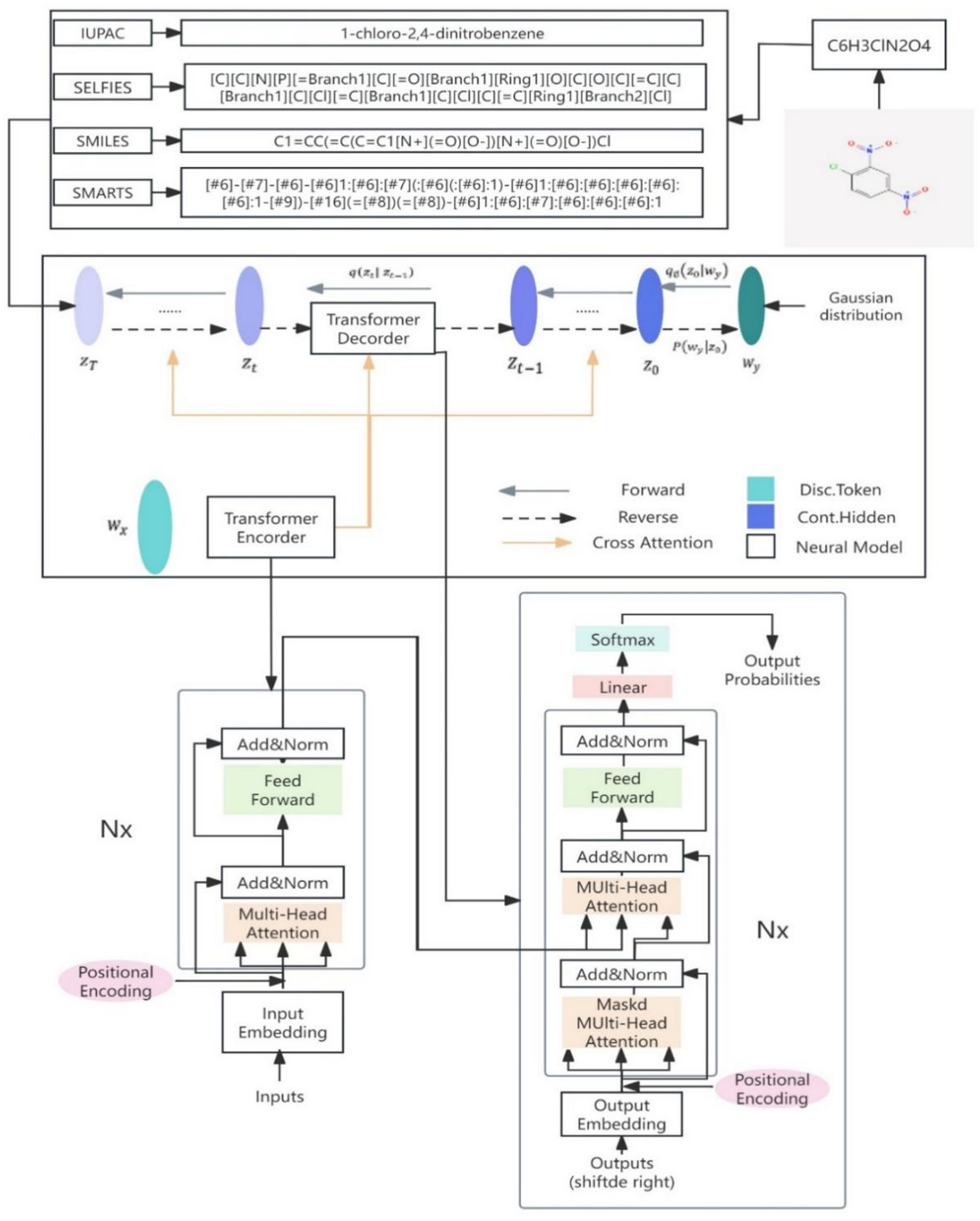 Comparison study of dominant molecular sequence representation based on diffusion model