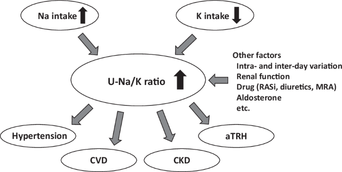 Urinary sodium-to-potassium ratio as a marker for apparent treatment-resistant hypertension in patients with chronic kidney disease