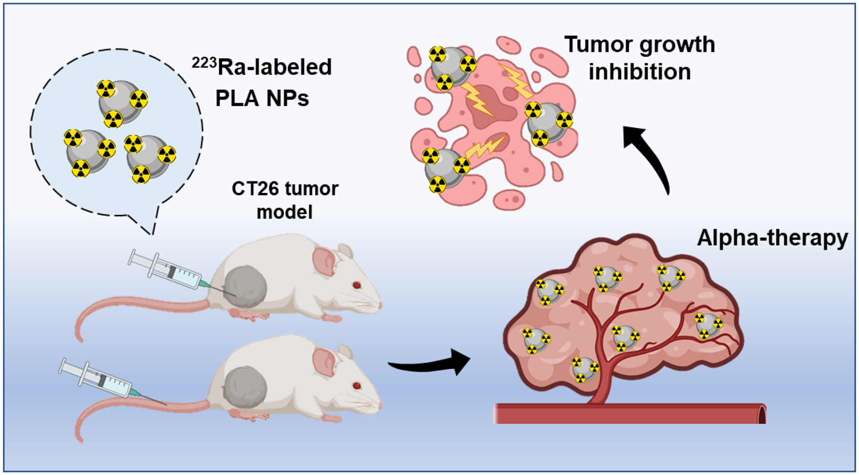 Development of Ra-labeled polymeric nanocarriers with variable administration routes for alpha-therapy of colorectal cancer